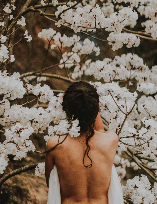 Candle scent image for the fragrance sacred. Picture of backless shirt women staring at blossoms on tree.