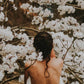 Candle scent image for the fragrance sacred. Picture of backless shirt women staring at blossoms on tree.